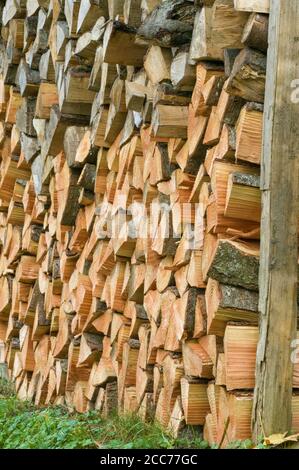 Snoqualmie, Washington, USA. Holzstapel von gehacktem Brennholz. Stockfoto