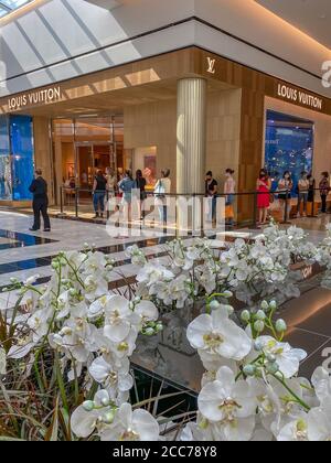 Im Louis Vuitton Store in der King of Prussia Mall in der Nähe von Philadelphia, PA, warten maskierte Käufer in der Schlange - gesellige Geschäfte Stockfoto