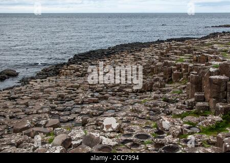Sechseckige Steinsäulen, Meer im Hintergrund, am Giant's Causeway, Nordirland Stockfoto