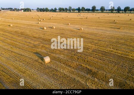 Luftaufnahme von runden Heuballen auf Stoppeln, Erntezeit Stockfoto