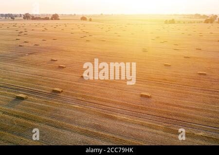 Luftaufnahme von rechteckigen Heuballen auf Stoppeln bei Sonnenuntergang, Erntezeit Stockfoto