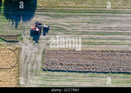 Luftaufnahme von oben nach unten des Mähdreschers arbeiten auf dem Feld, Erntezeit Stockfoto