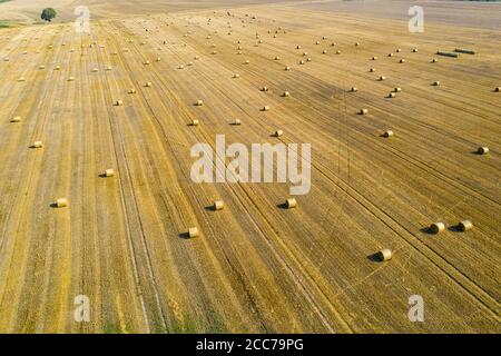 Luftaufnahme von runden Heuballen auf Stoppeln, Erntezeit Stockfoto