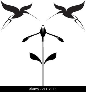 Vögel und Blumen schwarz auf weiß Illustration. Original dekorative Kolibris und Blume Illustration für Design Stock Vektor