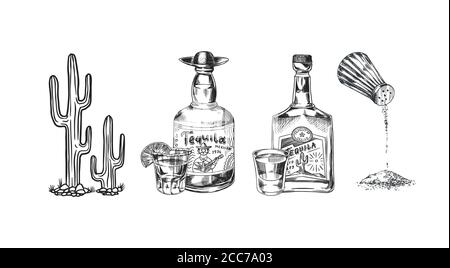 Schuss Tequila und Glasflasche, Salz und Kaktus. Retro-Poster oder Banner. Handgezeichnete Vintage-Skizze mit Gravur. Holzschnitt Vektorgrafik. Stock Vektor