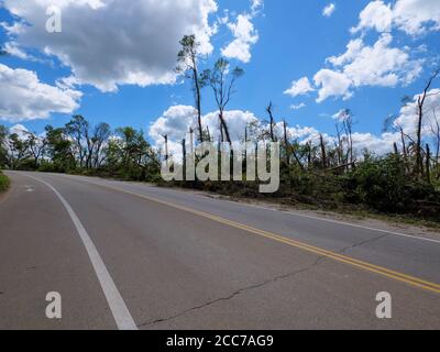 Hohe Bäume, die vom 10. August 2020 im Van Vechten Park niedergeblasen oder beschädigt wurden. Cedar Rapids, Iowa. Stockfoto