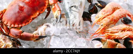 Meeresfrüchte auf Eis. Krabben, Stör, Muscheln, Garnelen, Rapana, Dorado, auf weissem Eis. Stockfoto