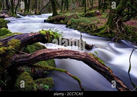 Fallen Log In River, Long Exposure Stockfoto