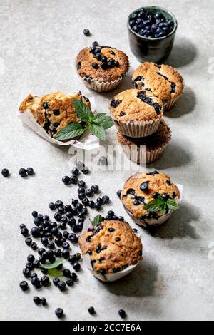 Hausgemachte Blaubeer-Muffins in Papier Cupcake Halter von frischen Beeren und Minzblättern auf hellgrauem Hintergrund dekoriert. Stockfoto