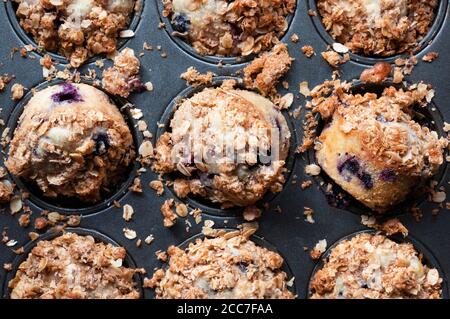 Frisch gebackene hausgemachte gemischte Beerenoat-Muffins. Stockfoto