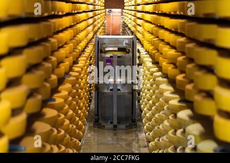 Gruyeres Schweiz , 27. Juni 2020 : Käsekeller Gasse voll von Le Gruyere AOP Schweizer Käsescheiben und JJ Automation Reifungsroboter in La Maison du Stockfoto