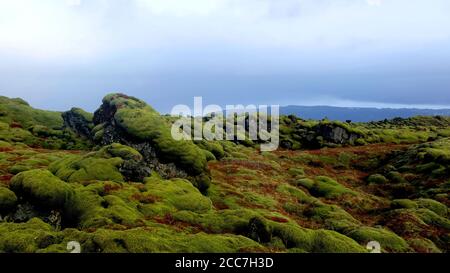 Eldhraun Lava Feld von Südisland Stockfoto