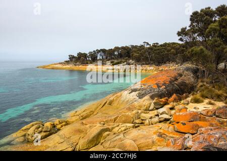 Granitfelsen entlang der Küste von Trousers Point, Flinders Island, Furneaux Group, Tasmanien Stockfoto