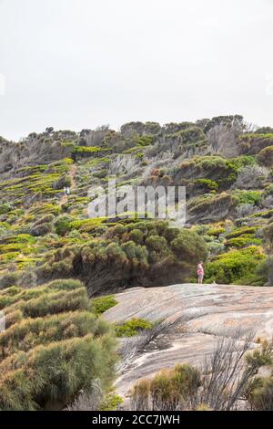 Wanderer in Trousers Point, Flinders Island, Furneaux Group, Tasmanien Stockfoto