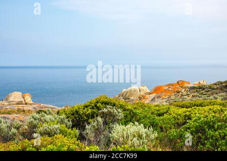 Granitfelsen entlang der Küste von Trousers Point, Flinders Island, Furneaux Group, Tasmanien Stockfoto