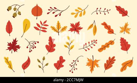 Herbstblätter Set, Vektor-Illustration, Herbstblätter oder Herbstlaub Symbole, fallende Pappel, Herbstblätter für saisonale Urlaub Grußkarte Design Stock Vektor