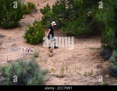 Eine Frau geht mit ihren beiden Hunden auf einem Naturlehrpfad in Santa Fe, New Mexico USA. Stockfoto