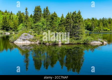 Eine kleine baumbedeckte Insel in einem kleinen See. Das Seeufer ist dicht dahinter. Blauer Himmel und blaues Wasser. Stockfoto