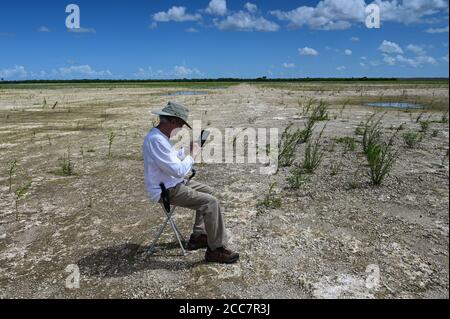 Active Senior erkundet und fotografiert Landschaft von Hole-in-the-Donut Lebensraumrestaurierungsgebiet des Everglades National Park, Florida. Stockfoto