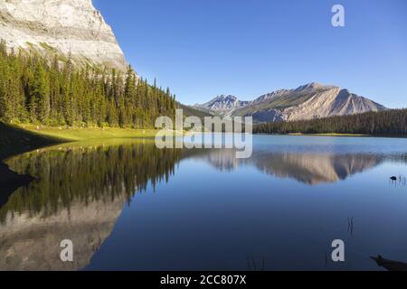 Symmetrie in der Natur, Mountain Peaks Reflexion Calm Water Scenic Alpine Hidden Lake. Wunderschöne Landschaft Kananaskis Country Wander, Alberta Kanada Stockfoto