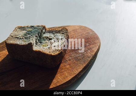 Schimmel auf Brot, ein Stück Roggenbrot mit weißem und grünem Schimmel auf einem hölzernen Schneidebrett. Das Enddatum ist abgelaufen. Stockfoto