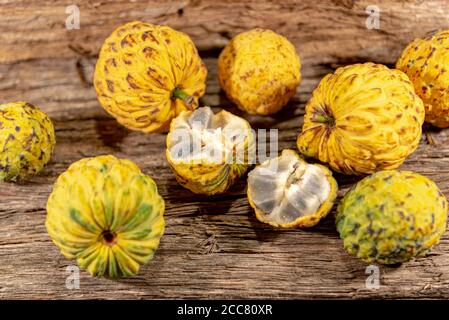 Frucht des Annona crassiflora-Baumes. Das araticum ist eine Frucht aus dem brasilianischen Cerrado, fleischig und kann bis zu zwei Kilo wiegen. Sehr ähnlich zu Stockfoto