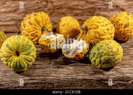 Frucht des Annona crassiflora-Baumes. Das araticum ist eine Frucht aus dem brasilianischen Cerrado, fleischig und kann bis zu zwei Kilo wiegen. Sehr ähnlich zu Stockfoto