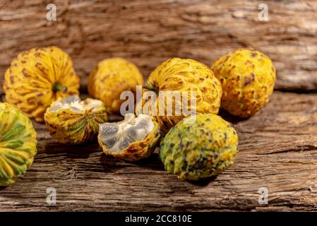 Frucht des Annona crassiflora-Baumes. Das araticum ist eine Frucht aus dem brasilianischen Cerrado, fleischig und kann bis zu zwei Kilo wiegen. Sehr ähnlich zu Stockfoto