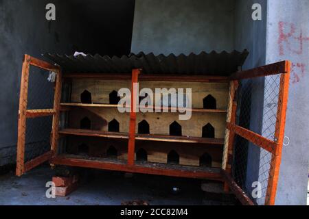 Taubenvogel Haus natürliches Foto Stockfoto