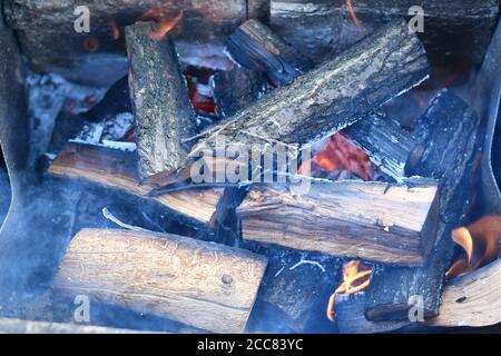 Defokussieren Sie blauen Rauch auf dem Lagerfeuer vor dem schwelenden Feuerholz und der Glut. Selektive Fokus auf Grill Holz im Freien Stockfoto