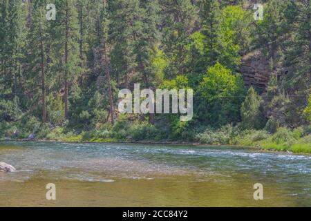 Der wunderschöne Green River, der durch das Flaming Gorge National Recreation Area im Ashley National Forest, Utah, fließt, fließt Stockfoto