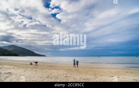 Myall Beach am Cape Tribulation im Daintree National Park, Cape York Peninsula, Far North Queensland, Australien Stockfoto