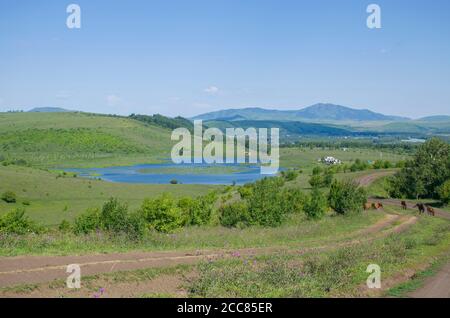 Pferde grasen in der Nähe des Sees schöne Landschaft im Sommer Stockfoto