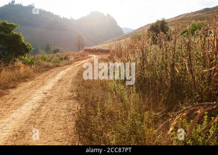 Eine ruhige Landstraße bei Sonnenaufgang, leere unbefestigte Bergstraße, die in Richtung Maisterrassen und Wald am frühen Morgen führt. Stockfoto