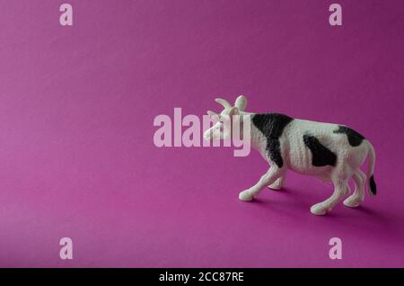 Figur der weißen Kuh mit schwarzen Flecken auf lila Hintergrund. Landwirtschaftliche Produkte, Nutztierkonzept. Speicherplatz kopieren. Draufsicht in einem Winkel. Selektiver Fokus. Stockfoto