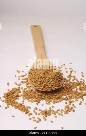 Samen von Bockshornklee in Holzlöffel auf weißem Hintergrund Nahaufnahme Stockfoto