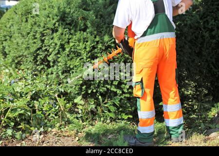 Mann schneidet Hecken mit Säge Stockfoto