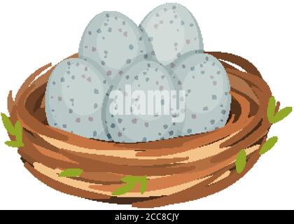 Eier im Vogelnest isolierte Illustration Stock Vektor
