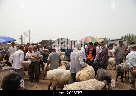 KASHGAR, CHINA: Eine Gruppe von Uiguren versucht, ihre Schafe auf dem sonntagsmarkt in der Nähe von Kashgar in der Autonomen Region Xinjiang zu verkaufen Stockfoto