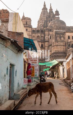 Orchha, Madhya Pradesh, Indien - März 2019: Der alte Chhaturbhuj Tempel Türme über einer schmalen Gasse in der Stadt von Orchha. Stockfoto