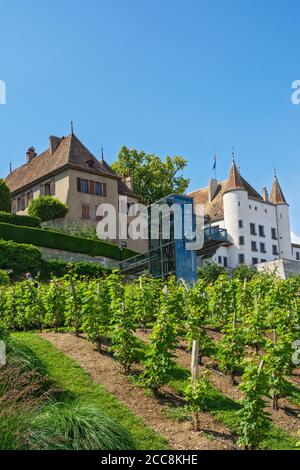 Schweiz, Kanton Waadt, Nyon, Quartier de Rive, Blick über den Weinberg bis zum Aufzug zum Schloss Stockfoto