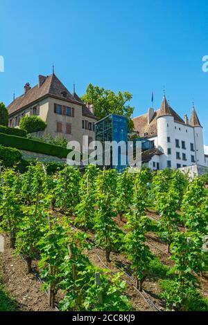 Schweiz, Kanton Waadt, Nyon, Quartier de Rive, Blick über den Weinberg bis zum Aufzug zum Schloss Stockfoto