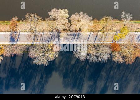 Straße durch See umgeben von blattlosen Bäumen. Lange Bäume Schatten auf Wasseroberfläche. Draufsicht Luftbild Stockfoto