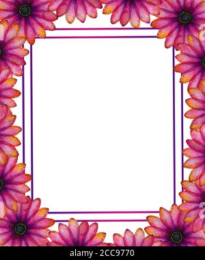 Rosa und lila Blumen Rahmen Dekoration, handgezeichnete lebendige florale Grenze Illustration, abstrakte Linie Kunst botanische Dekoration für Karte, Einladung Stockfoto