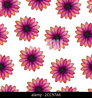 Nahtlose Blumenmuster mit lebendigen rosa und lila Gänseblümchen Blumen, bunte handgezeichnete florale Illustration für Hintergründe, Stoff, Verpackung Stockfoto