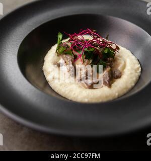 Stroganoff mit Kartoffelpüree. Stockfoto