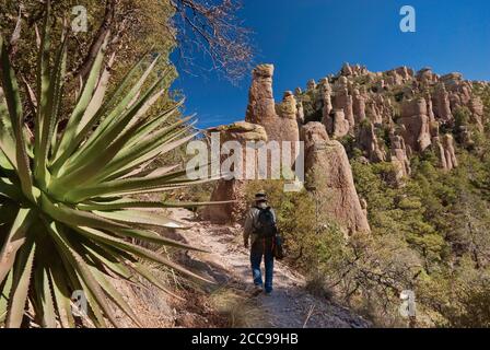 Gewöhnliche Sotol-Pflanze (Desert Spoon), Felsennadeln und Wanderer auf dem Hailstone Trail im Chiricahua National Monument, Arizona, USA Stockfoto