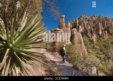 Gewöhnliche Sotol-Pflanze (Desert Spoon), Felsennadeln und Wanderer auf dem Hailstone Trail im Chiricahua National Monument, Arizona, USA Stockfoto