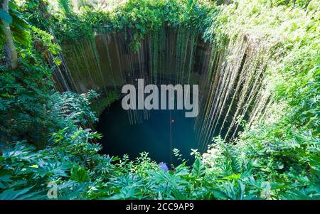CHICHEN ITZA, MEXIKO - 25. Jul 2019: Die Reben stammen aus der üppigen Landschaft in Cenote Ik Kil, einem beliebten Badegebiet in der Nähe von Chichen Itza. Stockfoto