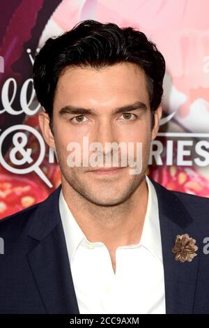 LOS ANGELES - JAN 13: Peter Porte im Hallmark Channel und Hallmark Movies and Mysteries Winter 2018 TCA Event im Tournament House am 13. Januar 2018 in Pasadena, CA Stockfoto